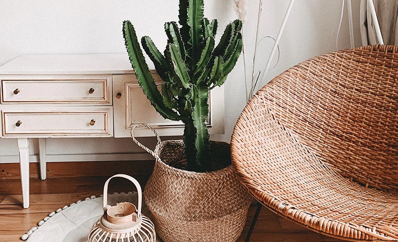 Rattan Basket Rattan Basket